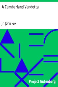 Cover of A Cumberland Vendetta — Reading Notes